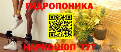 сатива Моздок