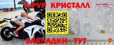 сатива Моздок