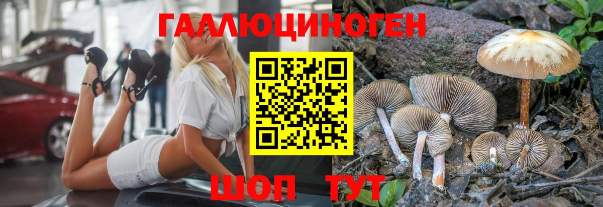 Галлюциногенные грибы Magic Shrooms Гуково