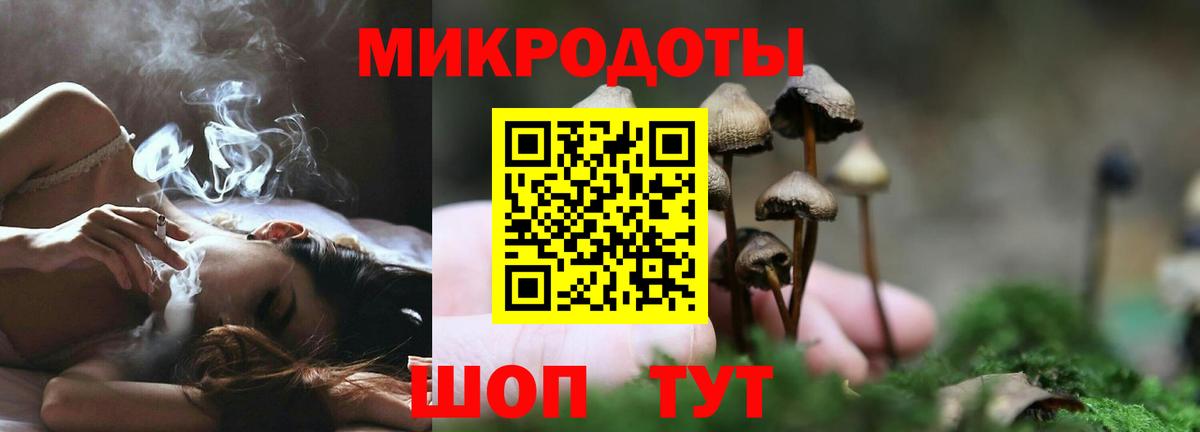 Гуково  Псилоцибиновые грибы мицелий  Вход с VPN  Галлюциногенные грибы MAGIC MUSHROOMS 